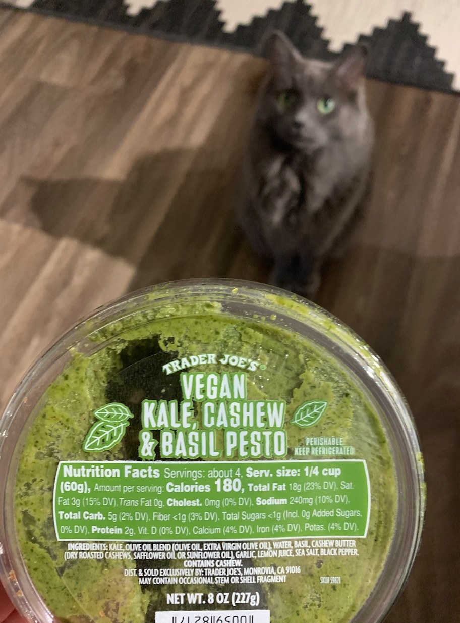 Container of Trader Joe's Vegan Kale, Cashew &amp;amp; Basil Pesto