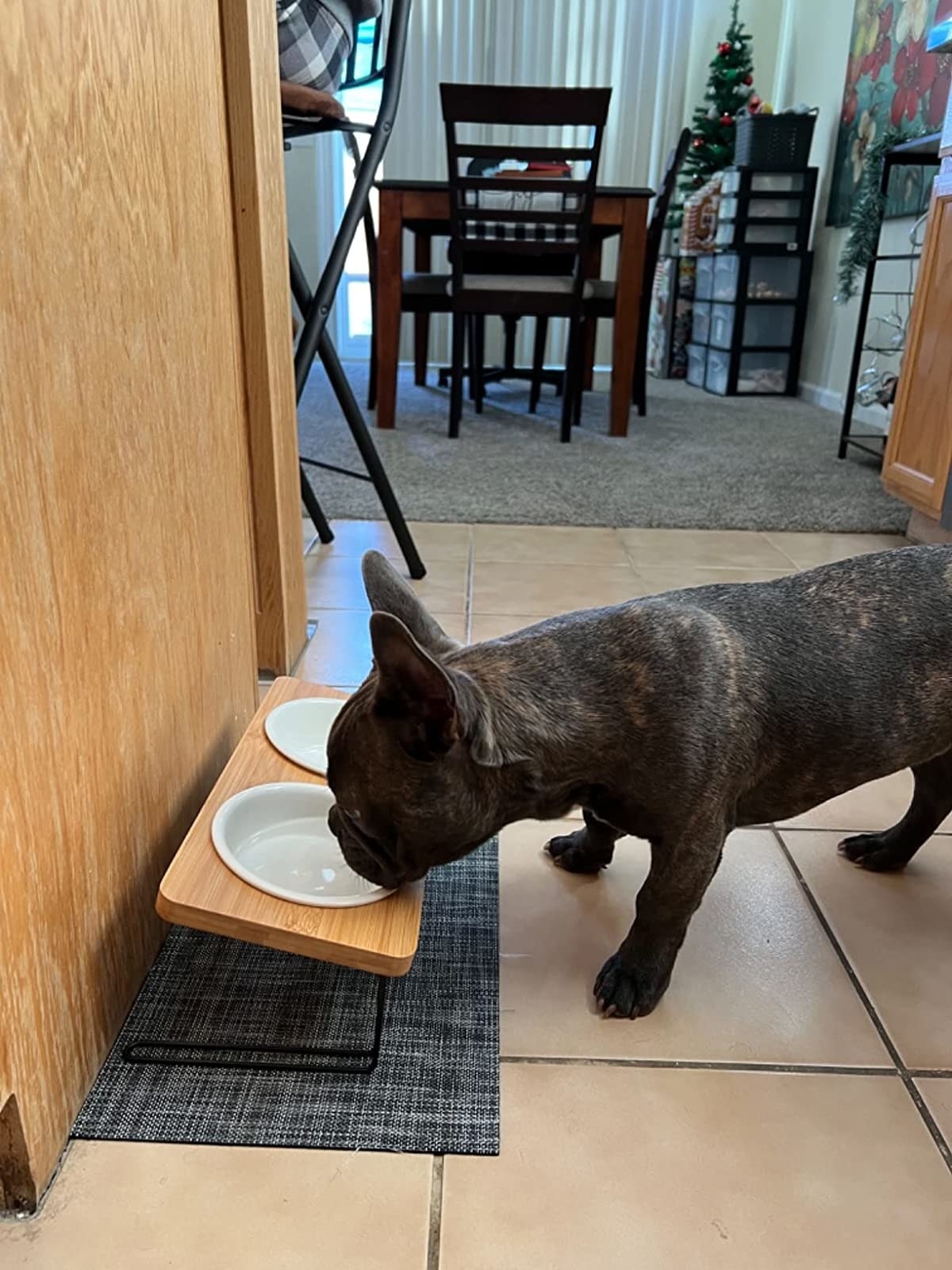 reviewer's french bulldog eating from white ceramic bowls in a bamboo tilted holder with a black minimalist metal base