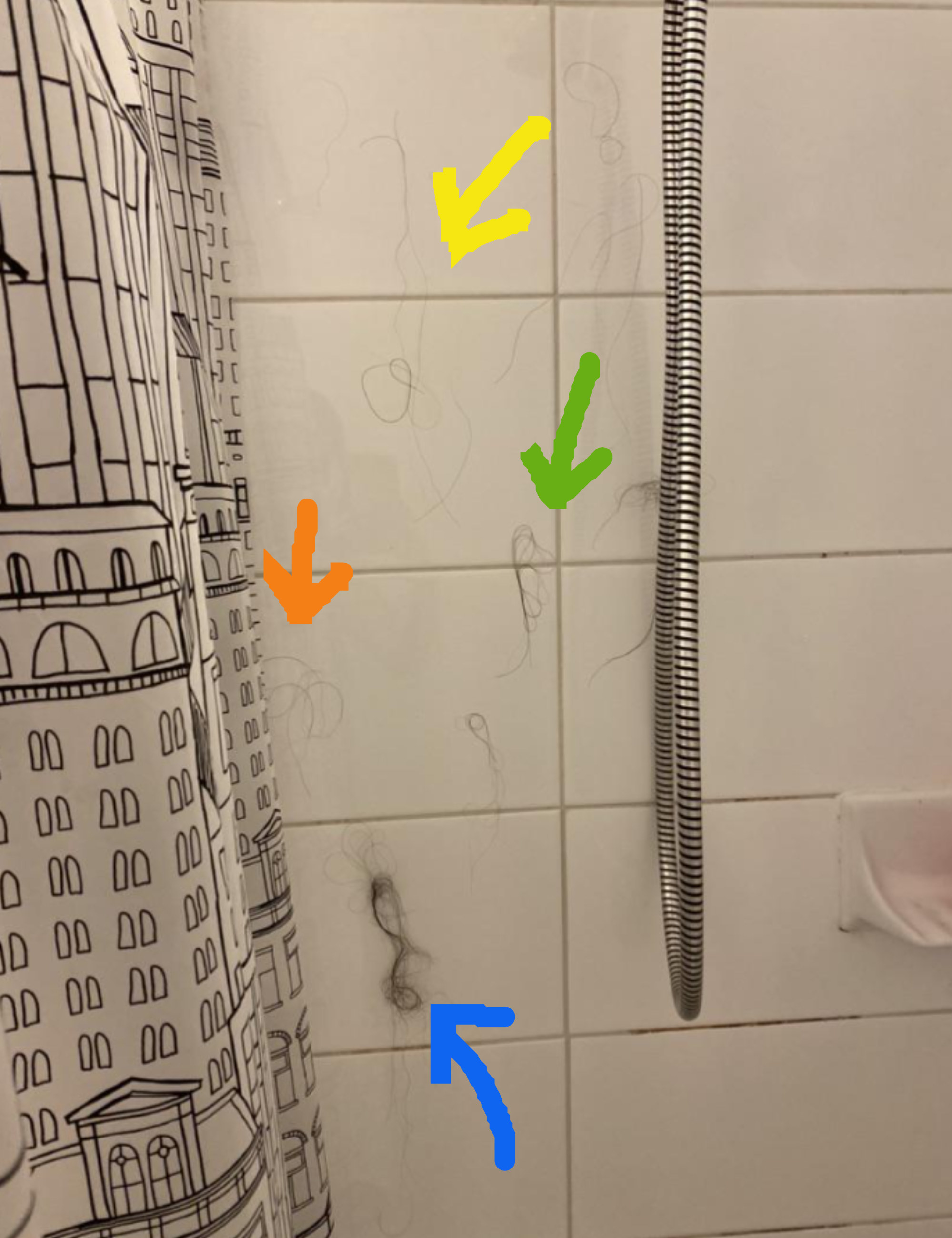 Shower with multiple long hairs stuck to the wall