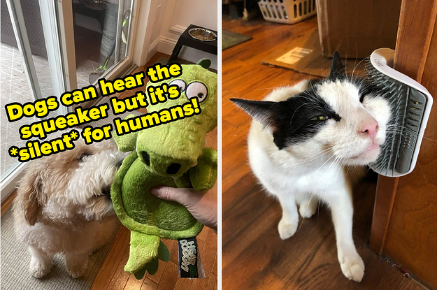 L: dog biting an alligator toy with text on image "dogs can hear the squeaker but it's silent for humans" R: cat rubbing its face on a wall-mounted brush