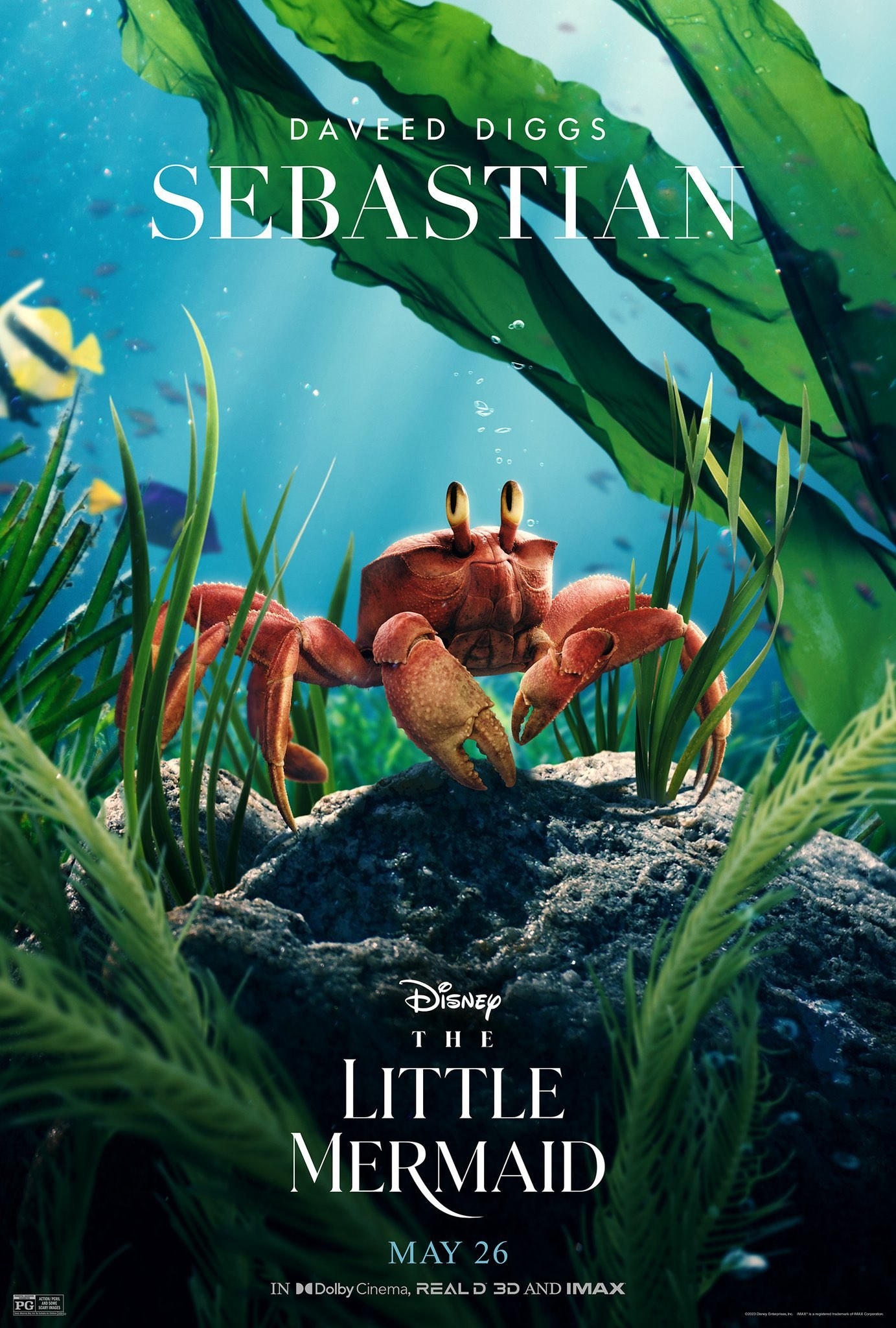 Sebastian is a very realistic crab now