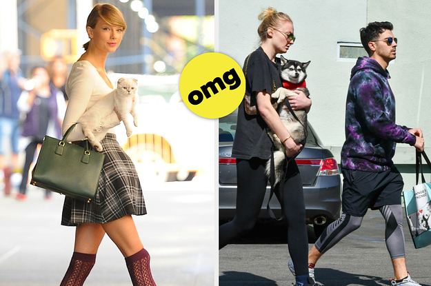 Taylor Swift and her cat, Sophie Turner and Joe Jonas with their dog