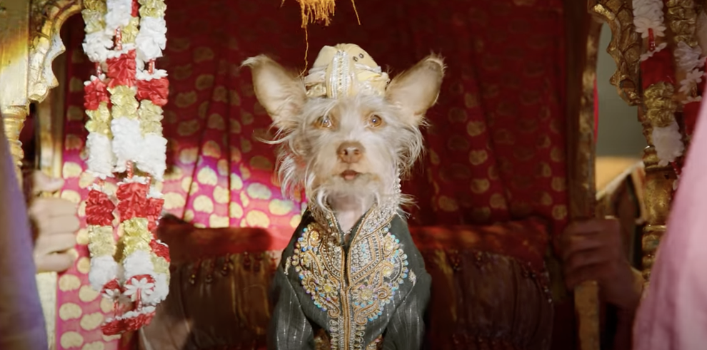 Leaving Netflix In May 2023