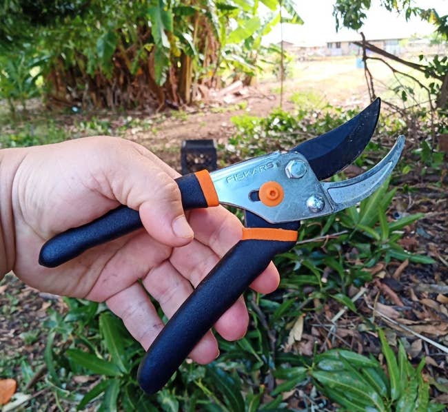 Reviewer photo of a hand holding the pruning shears