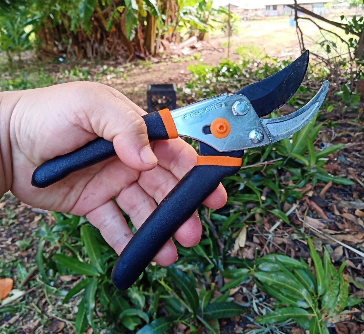 Reviewer photo of a hand holding the pruning shears