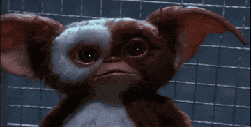gizmo looking shocked in gremlins