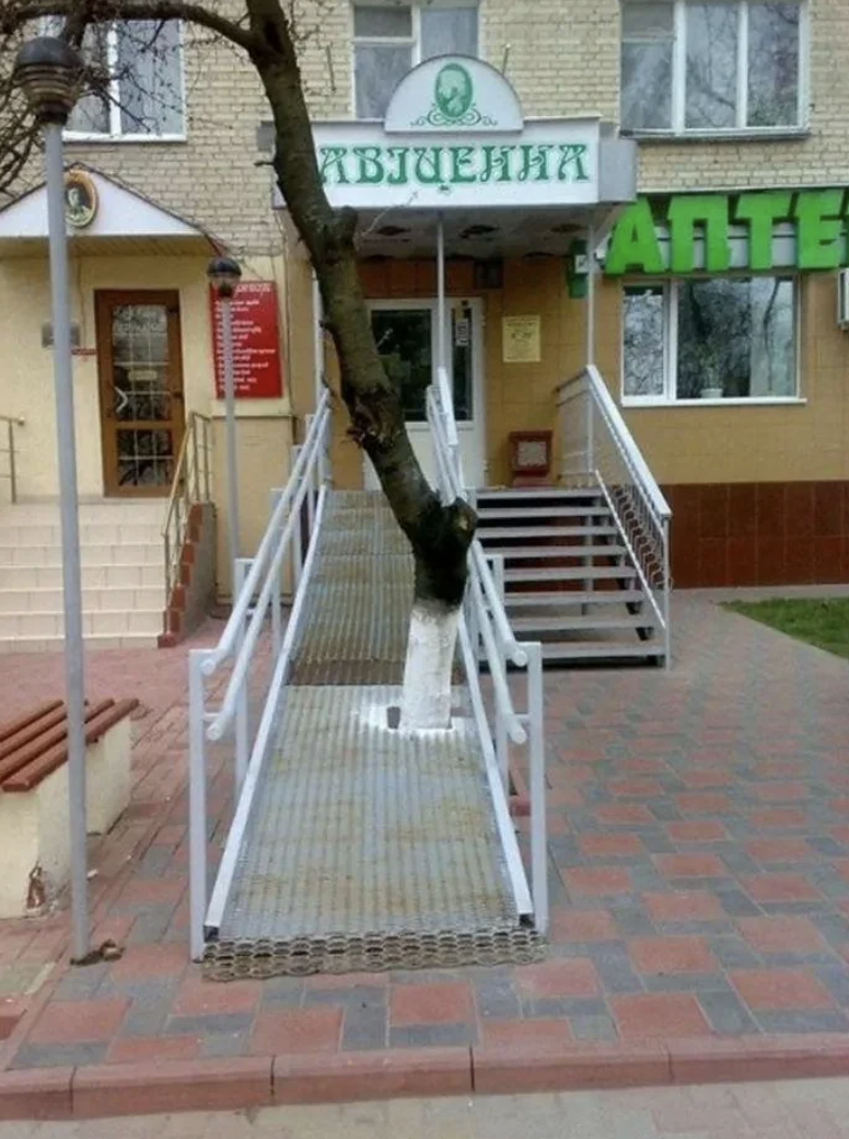 ramp with a tree in the middle