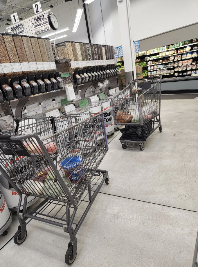 abandoned shopping carts