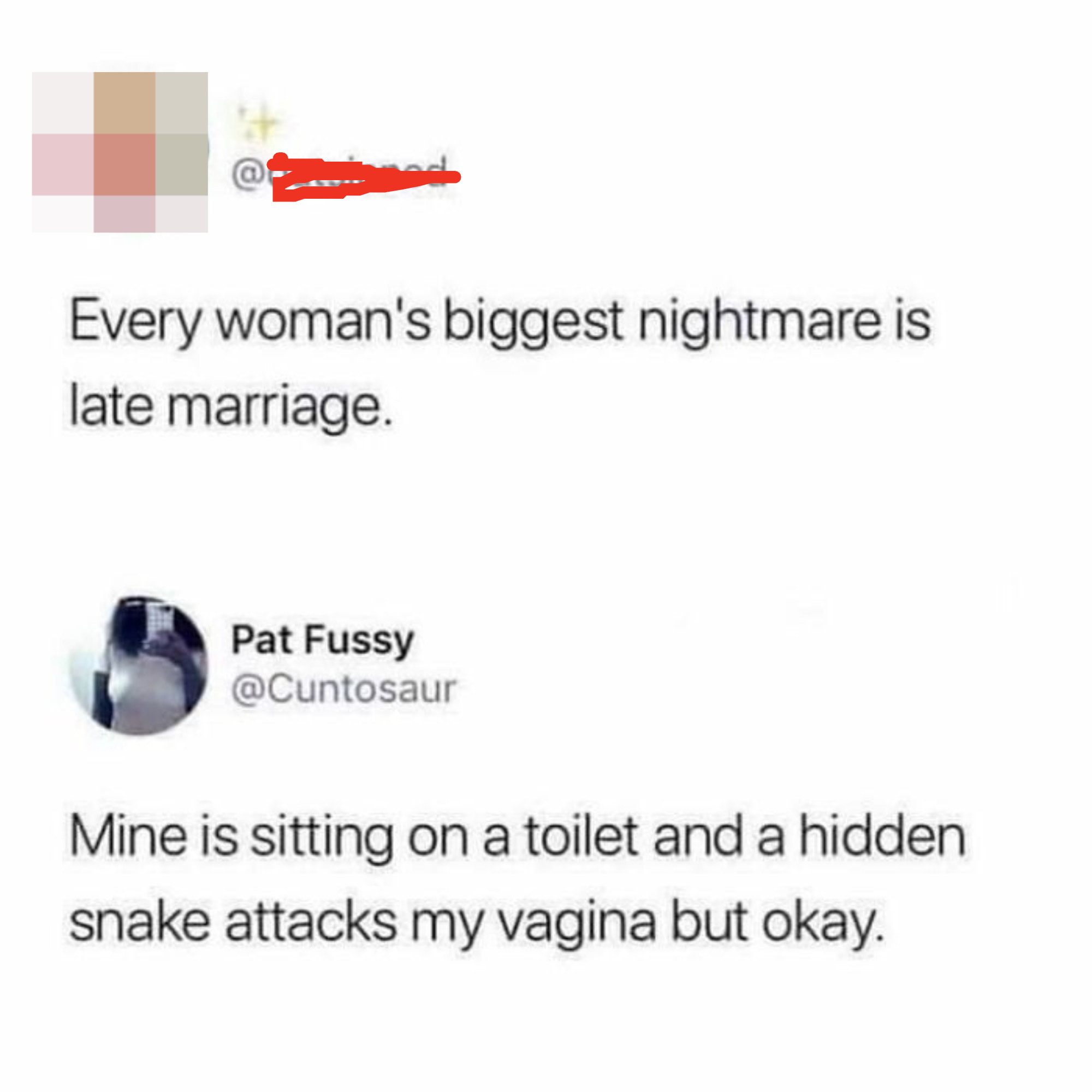 Someone says a woman&#x27;s biggest fear is a late marriage and someone responds &quot;Mine is sitting on a toilet and a hidden snake bites my vagina but okay&quot;