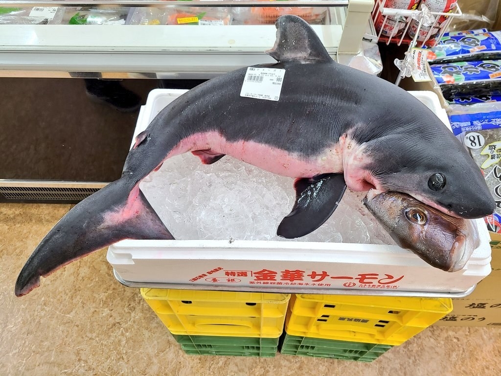 投げ売りされる「ジョーズ!」(980円)