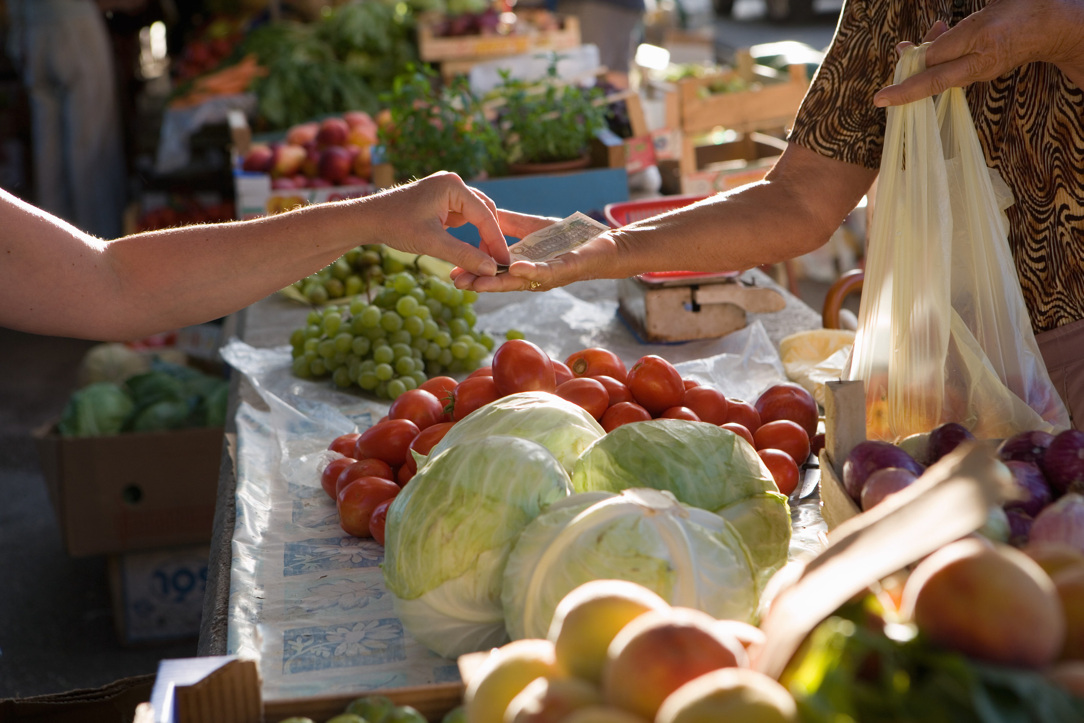 Buying vegetables at outdoors market in Croatia