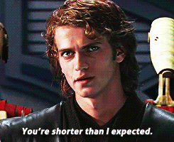 Anakin Skywalker saying &quot;You&#x27;re shorter than I expected&quot;