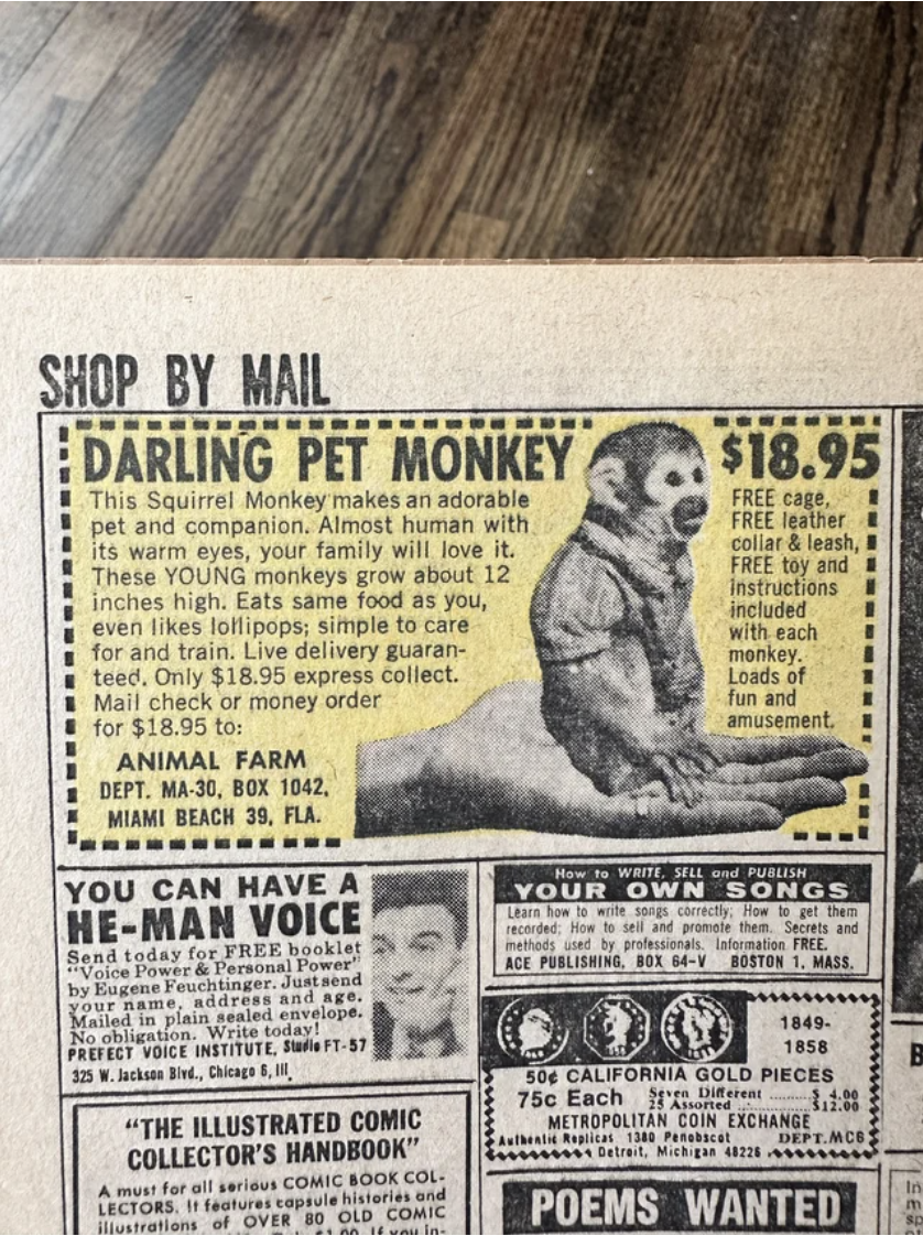 An ad selling a pet monkey
