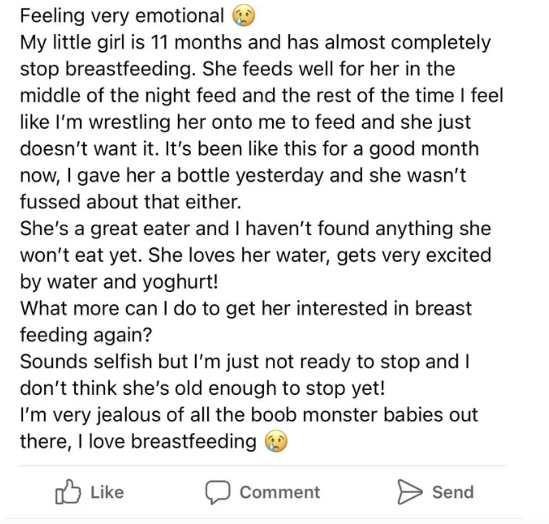 Mother is wondering how she can get her 11-month-old, who is a great eater, interested in breastfeeding again because the mother is not ready to stop and she feels like she's "wrestling" the child onto her at times
