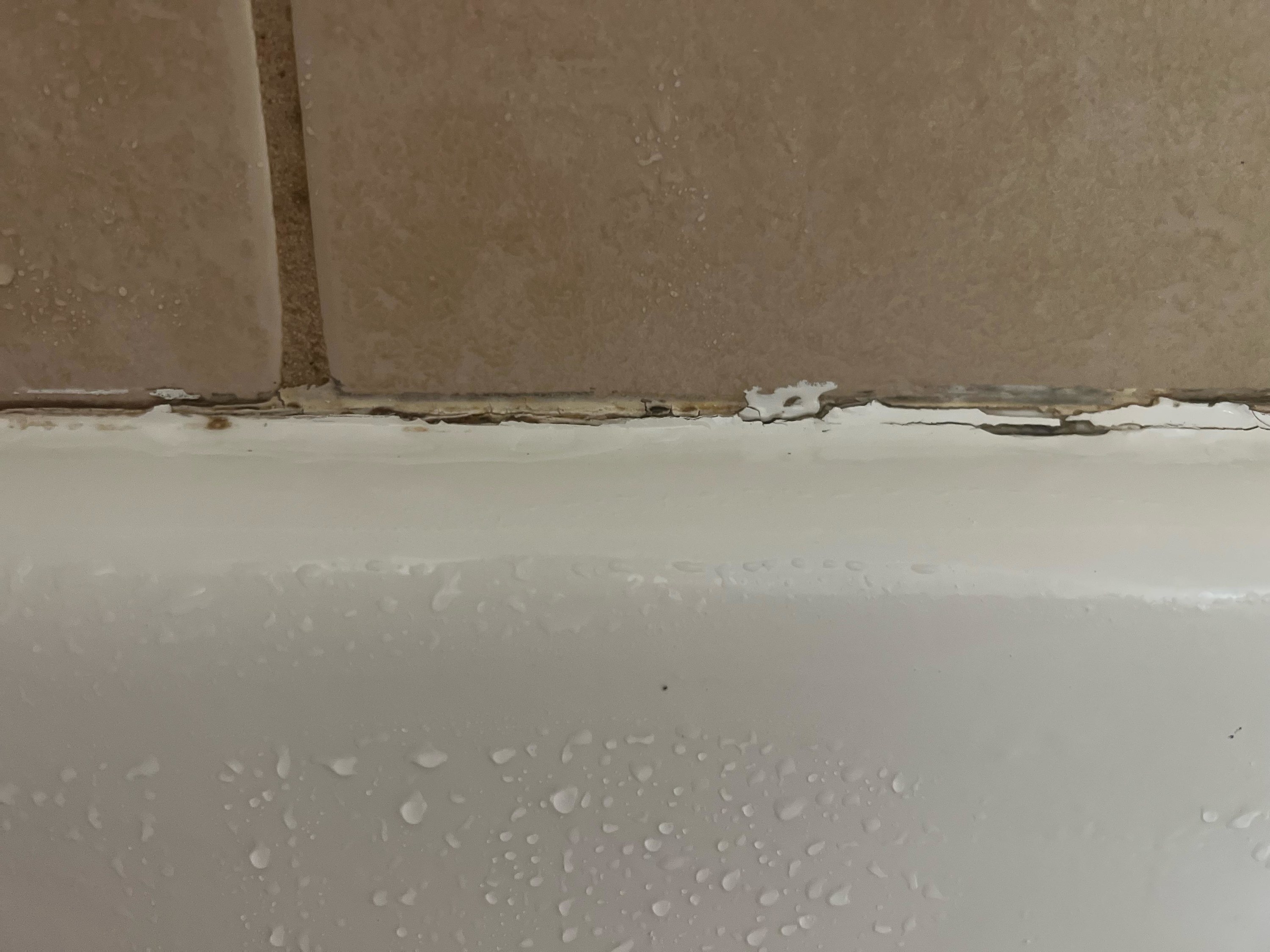 moldy gap between tub and tile that should be caulked