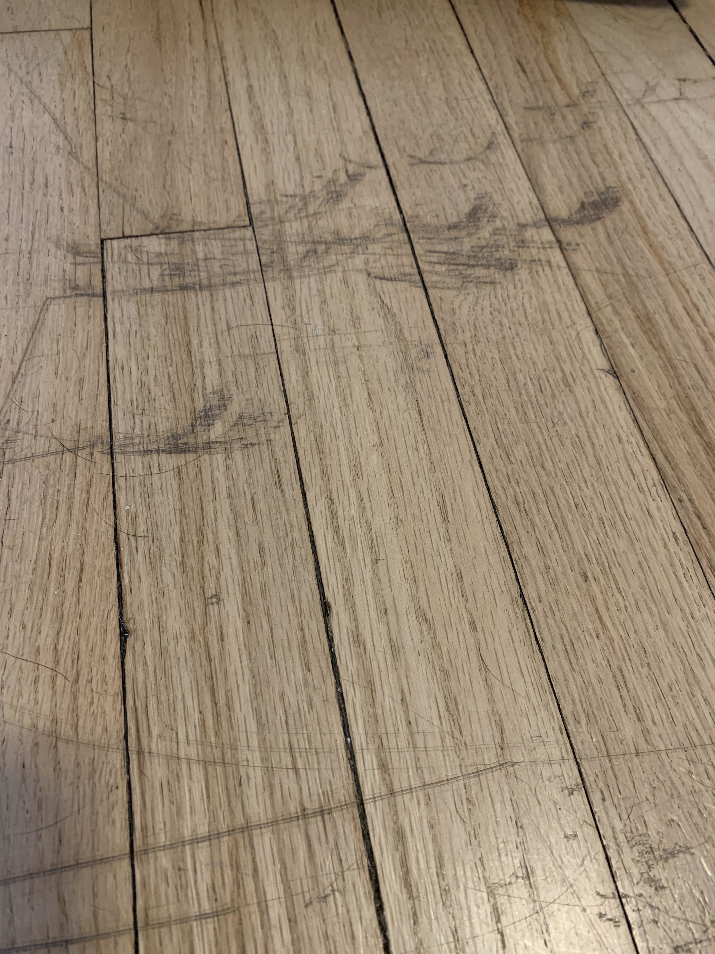 scratches all over wood flooring