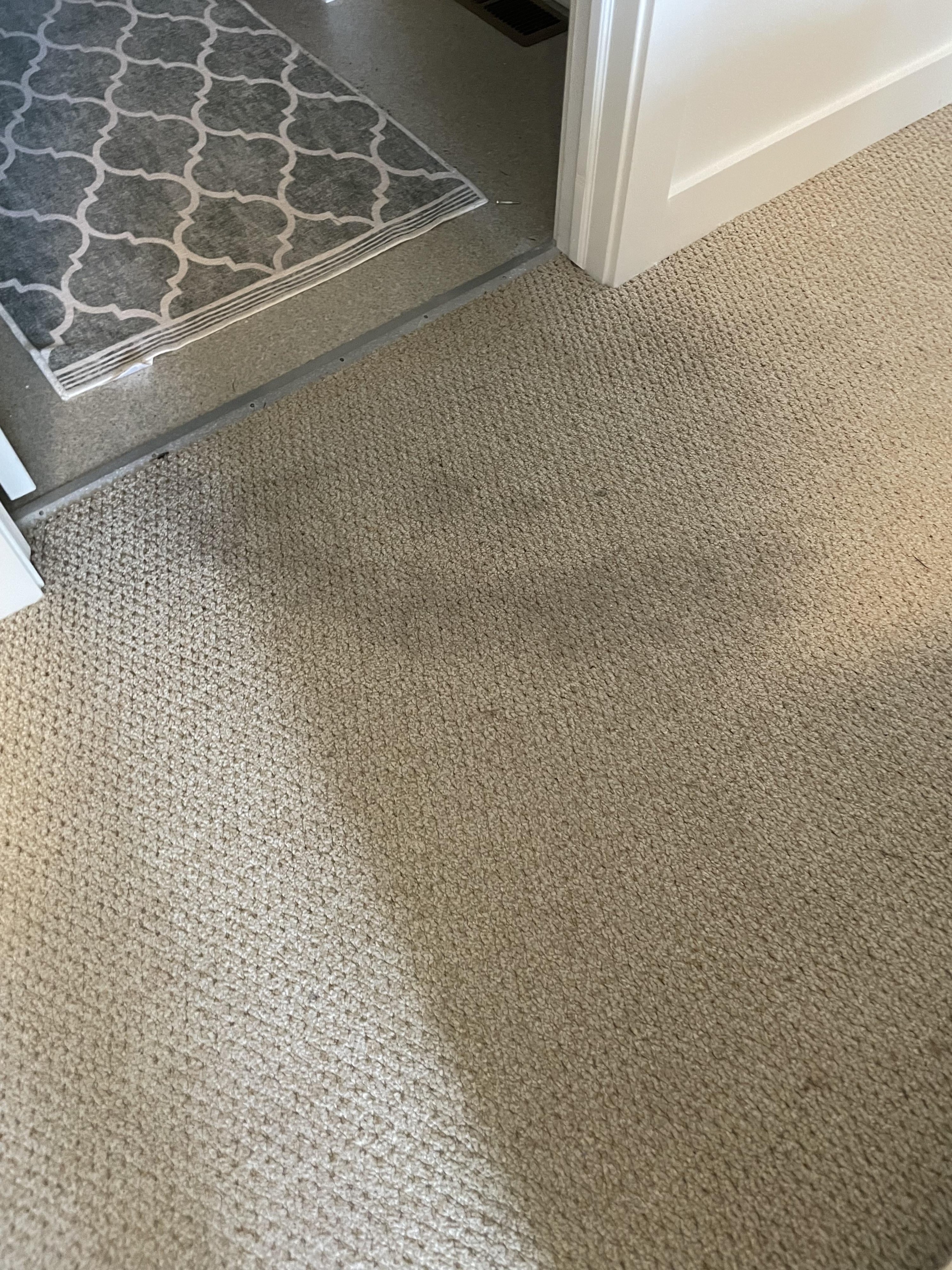 stains in a beige carpet