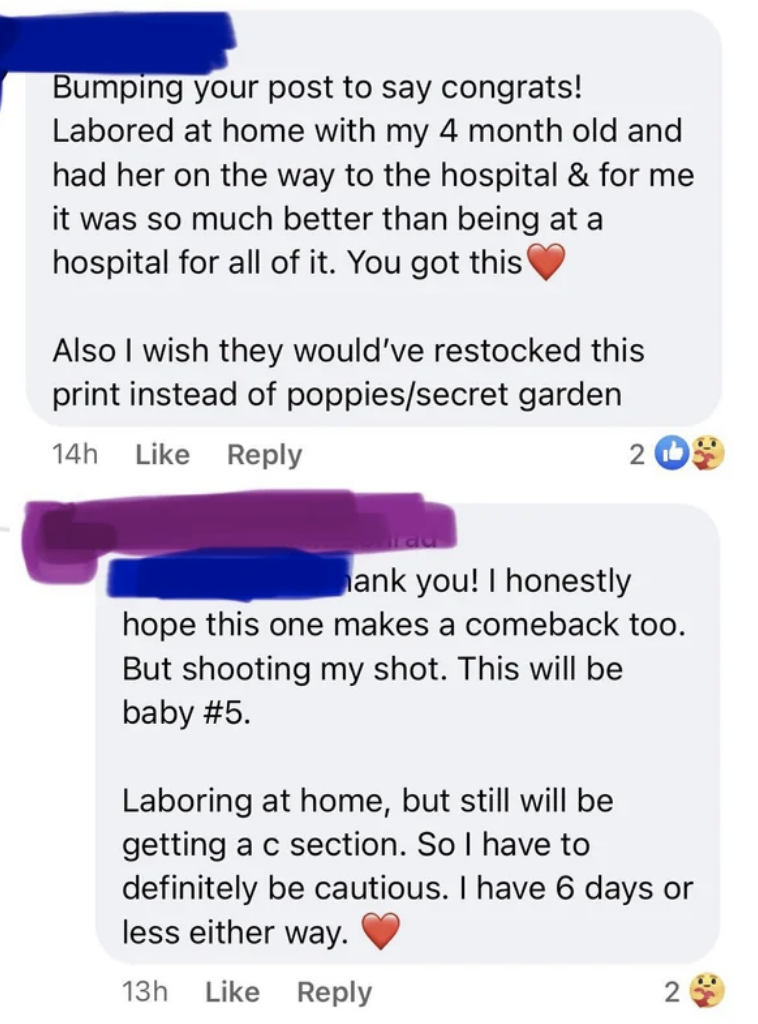 Person says they labored at home and then had the baby on the way to the hospital and it was so much better than the hospital