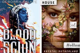 Blood Scion by Deborah Falaye and House of Hollow by Krystal Sutherland