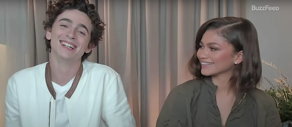 Timothée Chalamet And Zendaya Illustrate Two Different Ways To