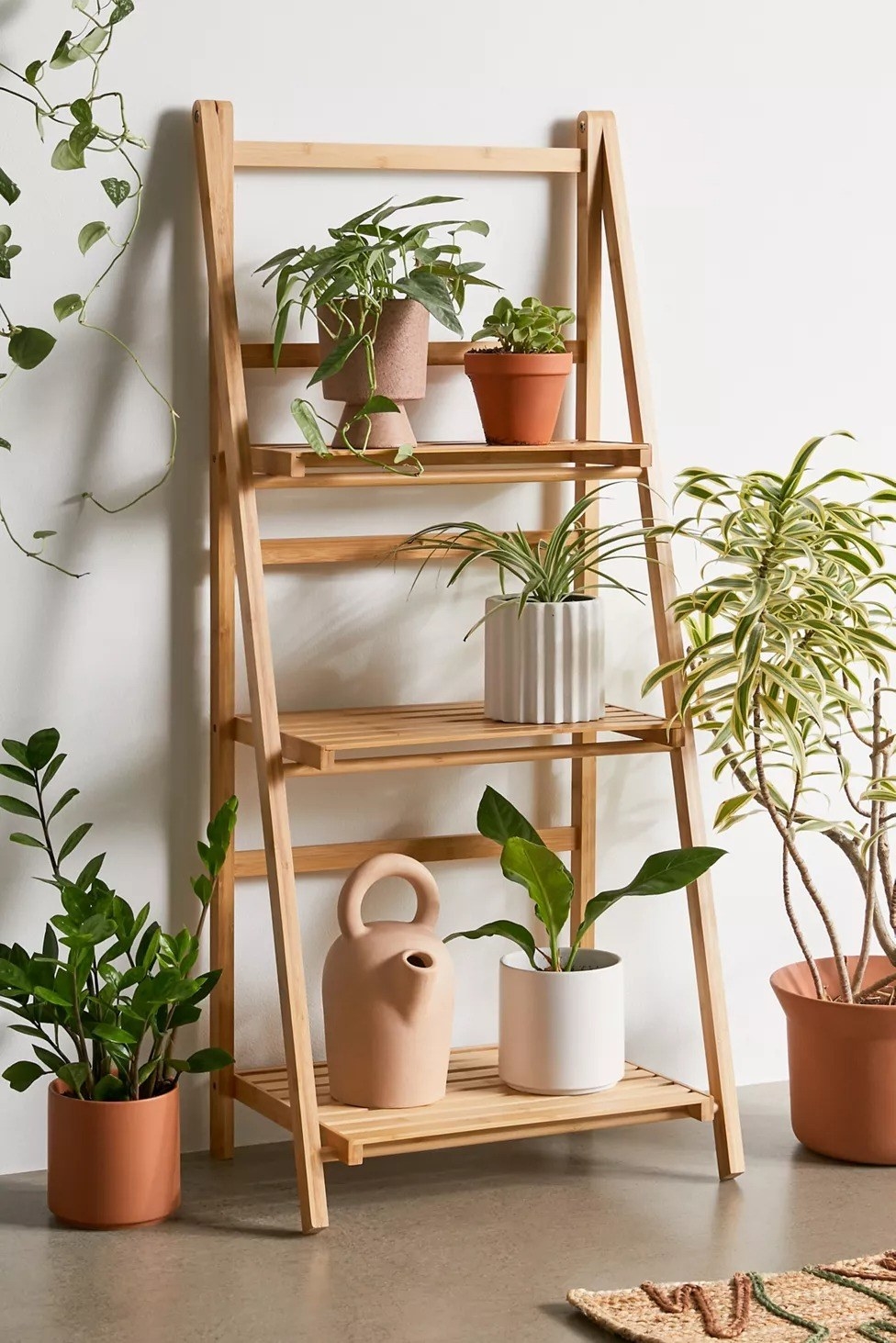 the ladder shelf with plants on it
