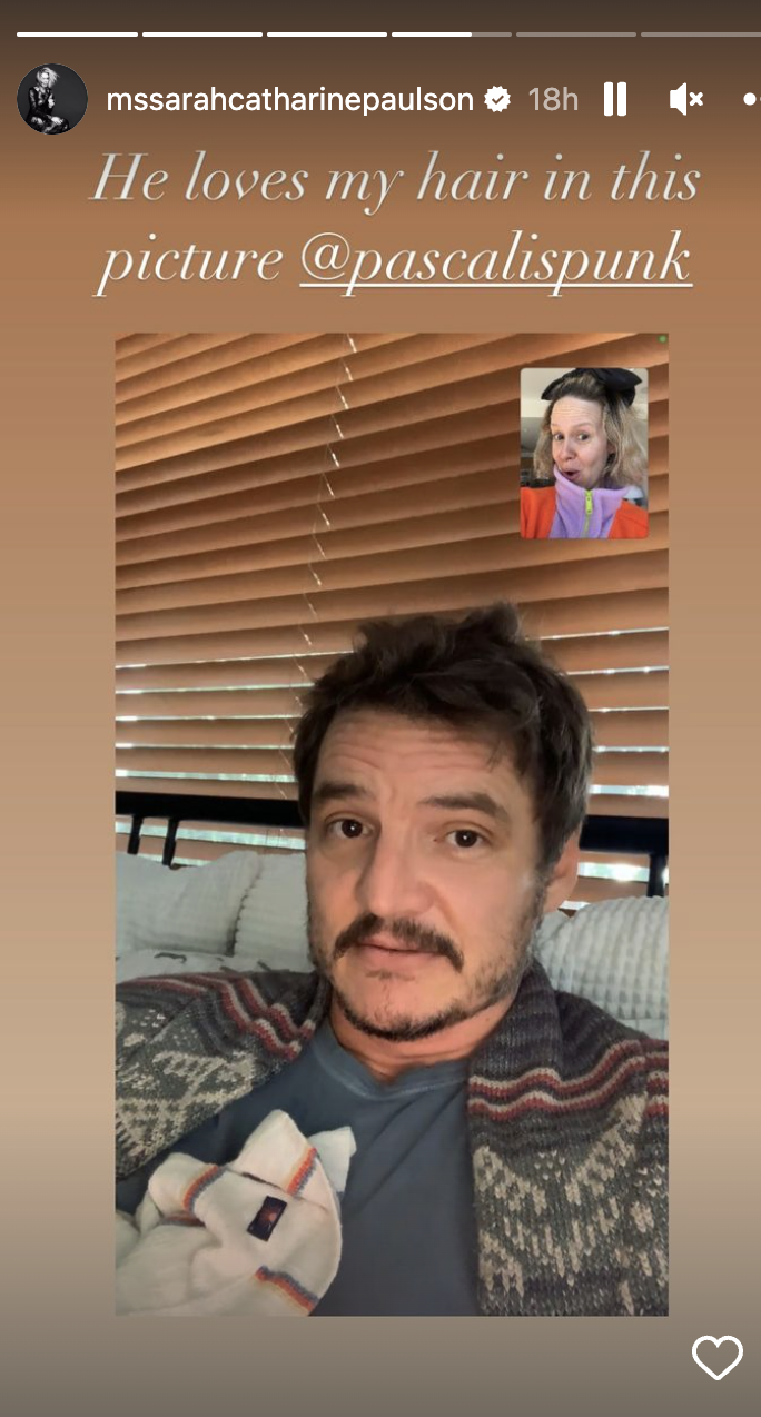 Sarah&#x27;s IG story pic of Pedro and her FaceTiming, with caption &quot;He loves my hair in this picture&quot;