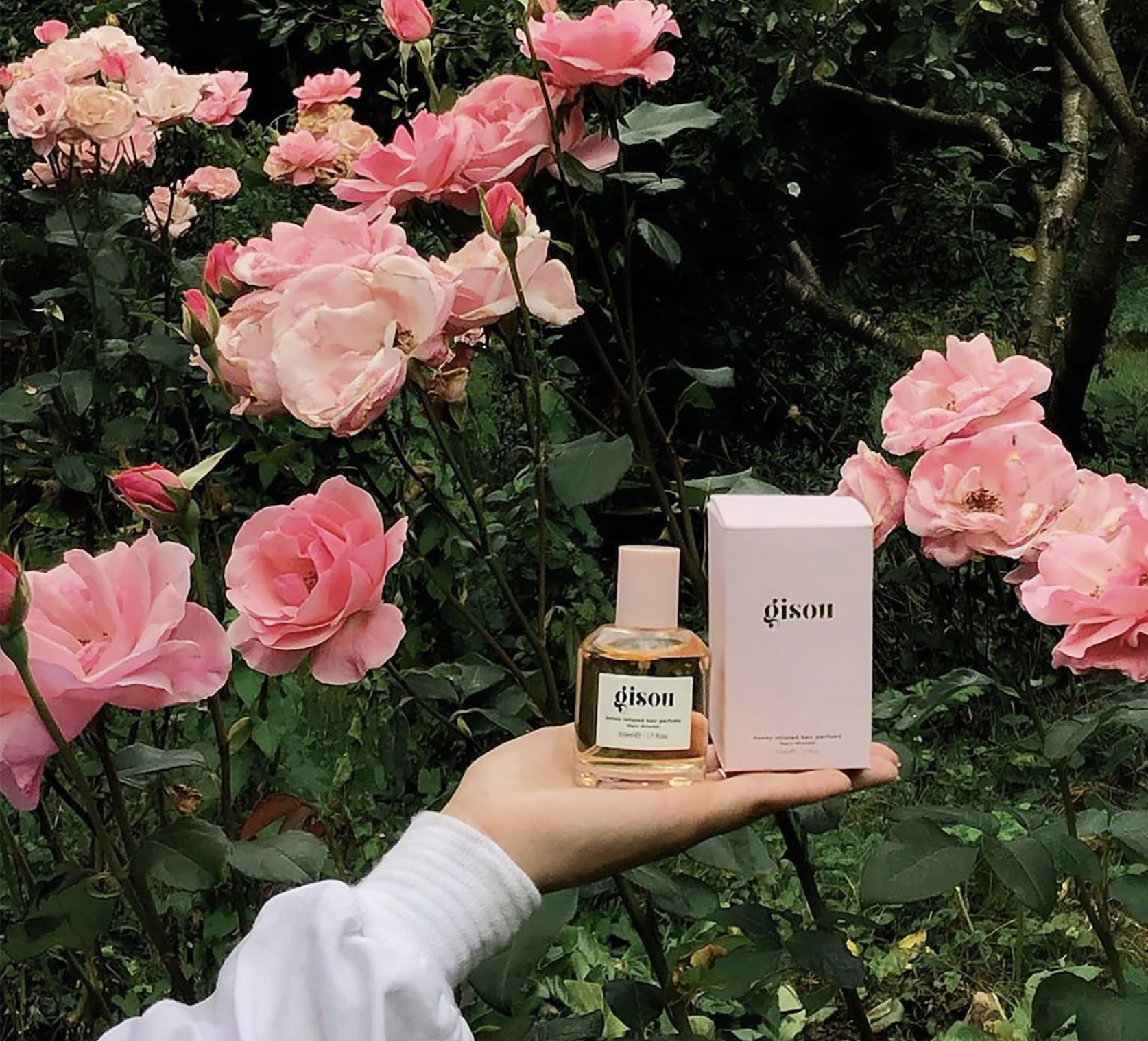 A person holding the perfume and its box in front of a rose bush