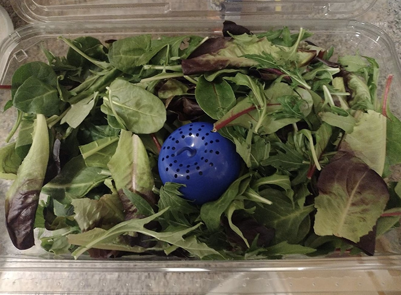 reviewer photo showing one of the BluApple savers in a box of lettuce