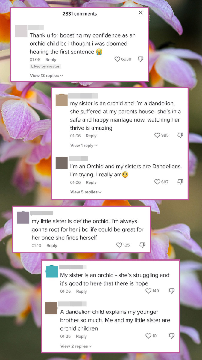 comments on top of background of orchids