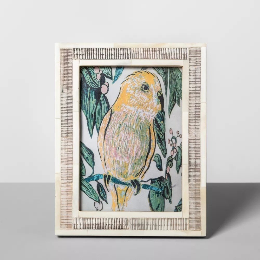A picture of the bone frame with a parakeet drawing inside