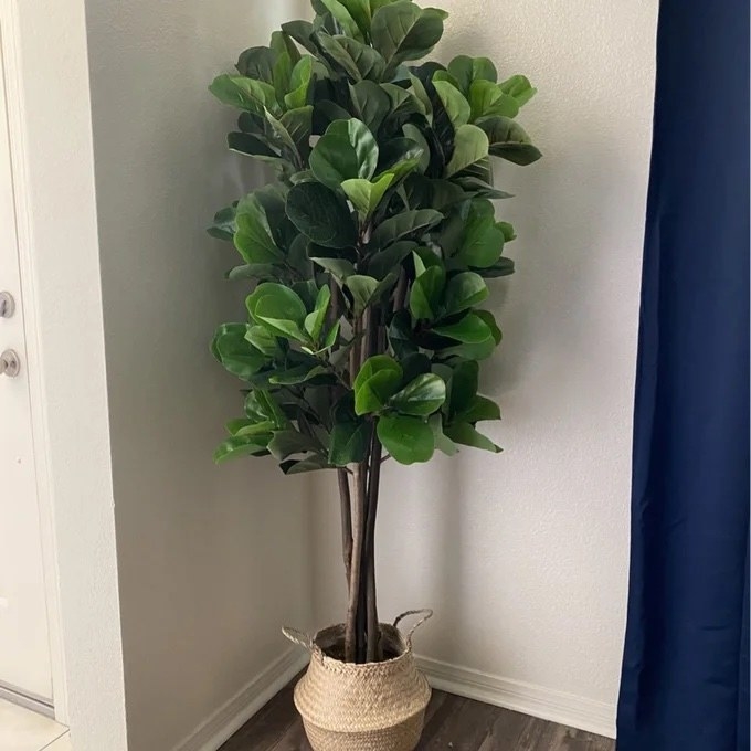 a user submitted image of the faux plant