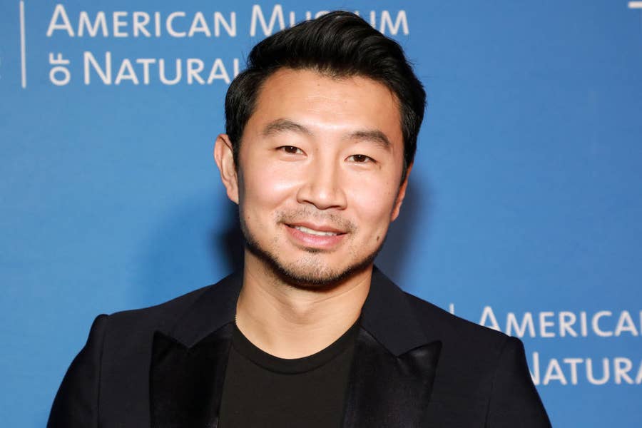 Simu Liu Was Told He Didn't Have 'It Factor' for 'Crazy Rich Asians' –  IndieWire