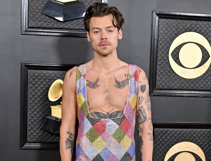 A close-up of Harry in multicolored, checkerboard overalls and bare-chested