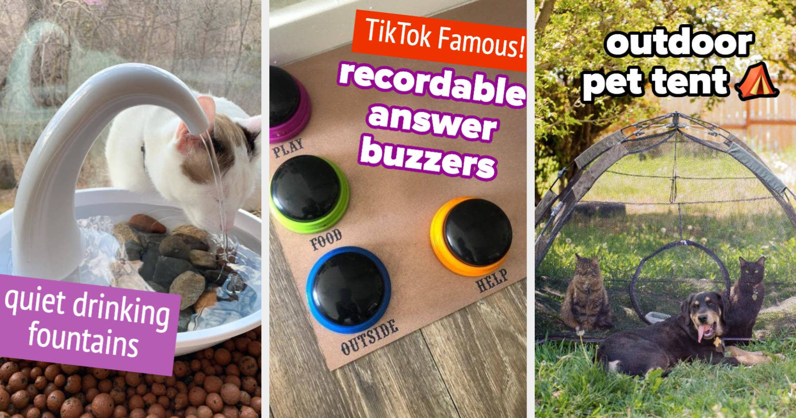 38 Products Your Pet Will Thank You For Buying