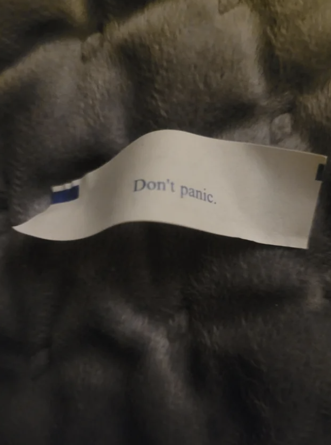 A fortune cookie fortune that says, &quot;Don&#x27;t panic&quot;