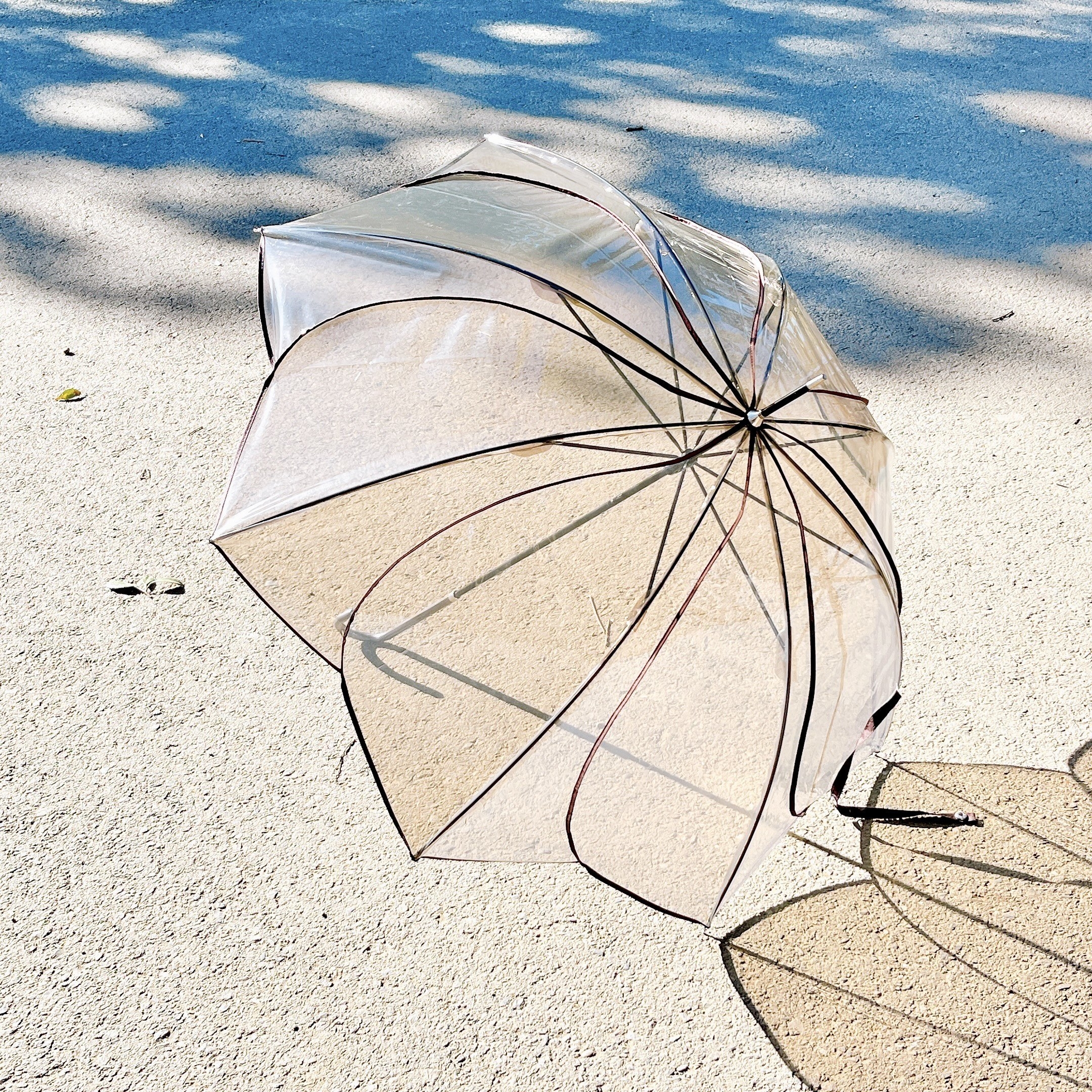 GLOBAL WORK（グローバルワーク）のオススメの傘「フラワーパイピングビニ傘」