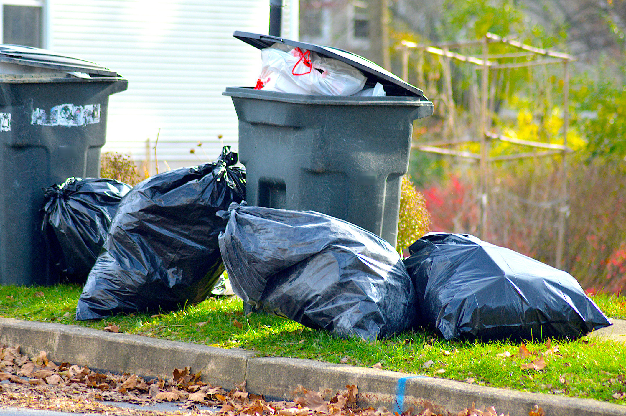 trashcan and filled bags on the curb