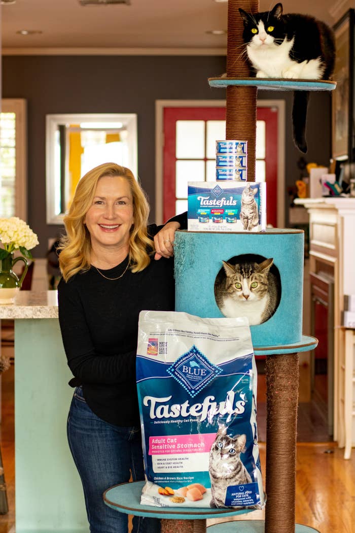 Angela Kinsey poses with her cats Snickers and Oreo alongside BLUE Tastefuls cat food