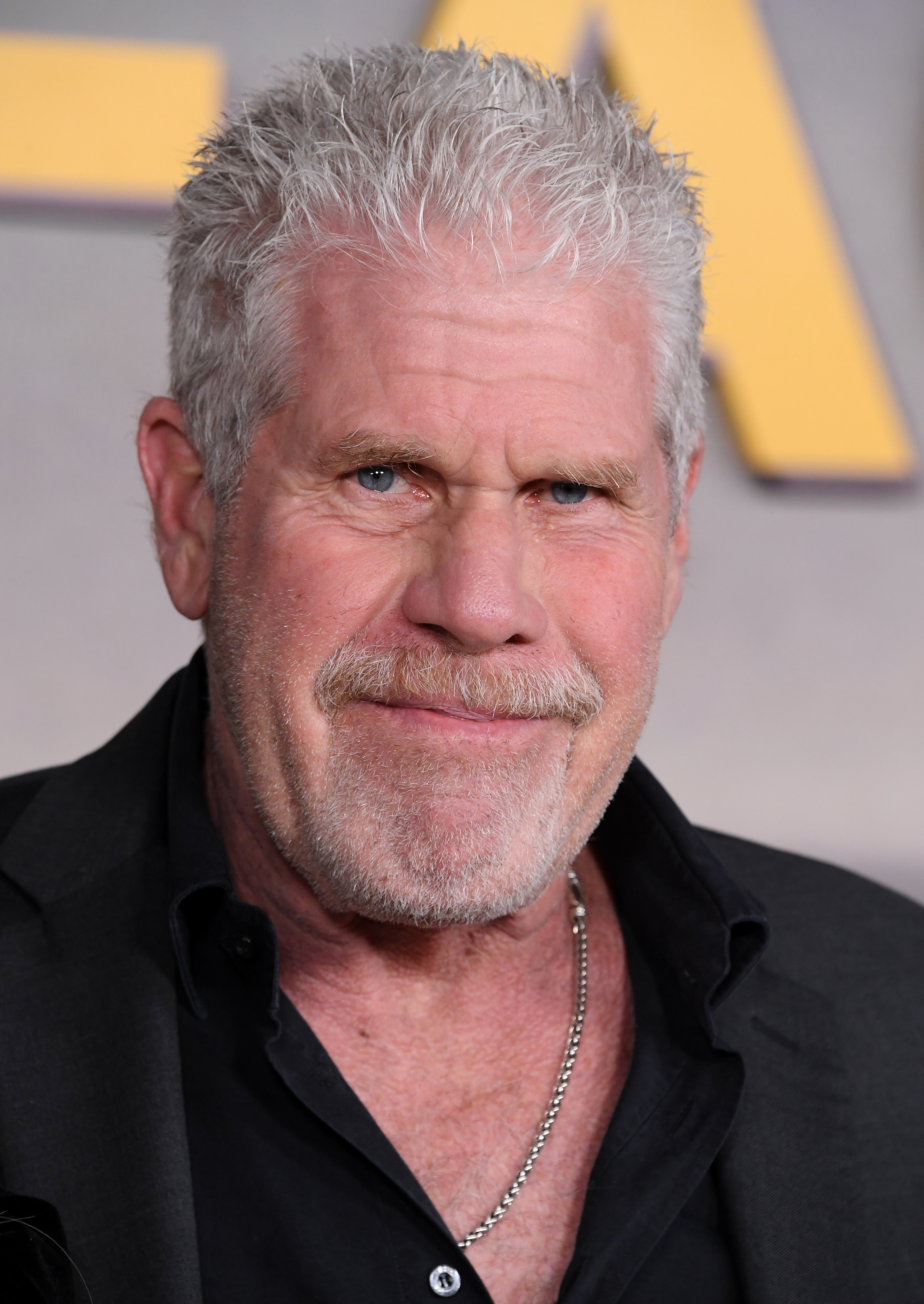 Ron Perlman on the red carpet