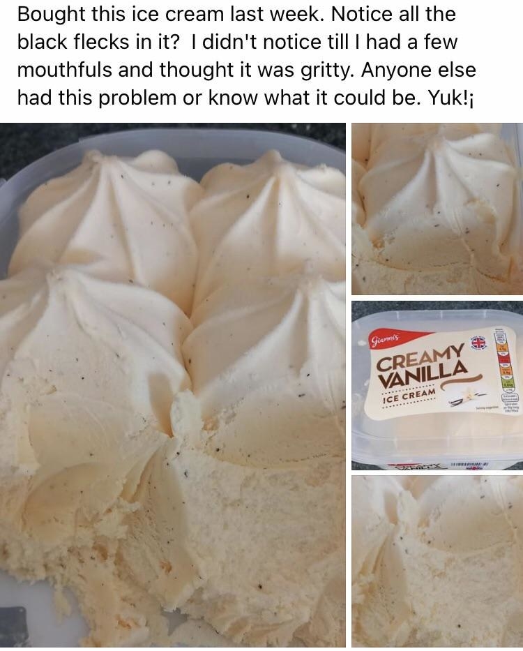 person who thinks vanilla flecks in ice cream are bugs