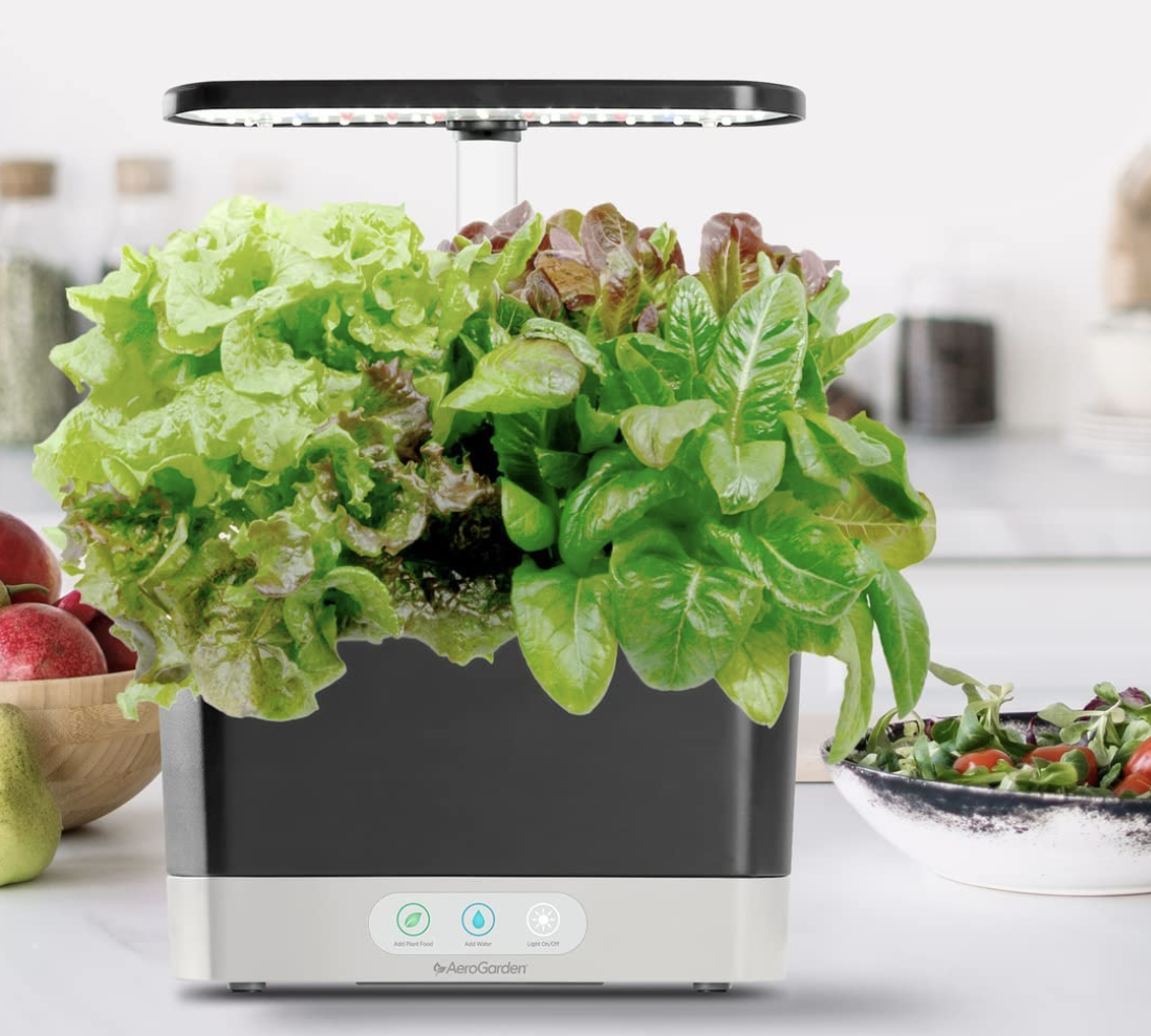 the aerogarden on a counter in a kitchen beside a bowl of salad