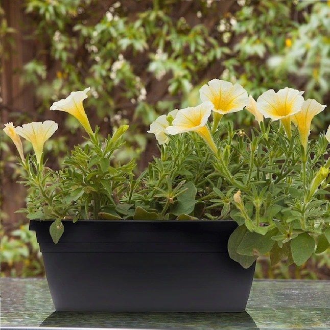 a planter box holding different plants and flowers