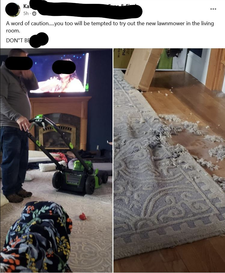 person who tries a lawnmower out on their carpet