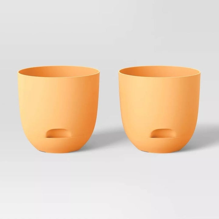 Image of two orange planters