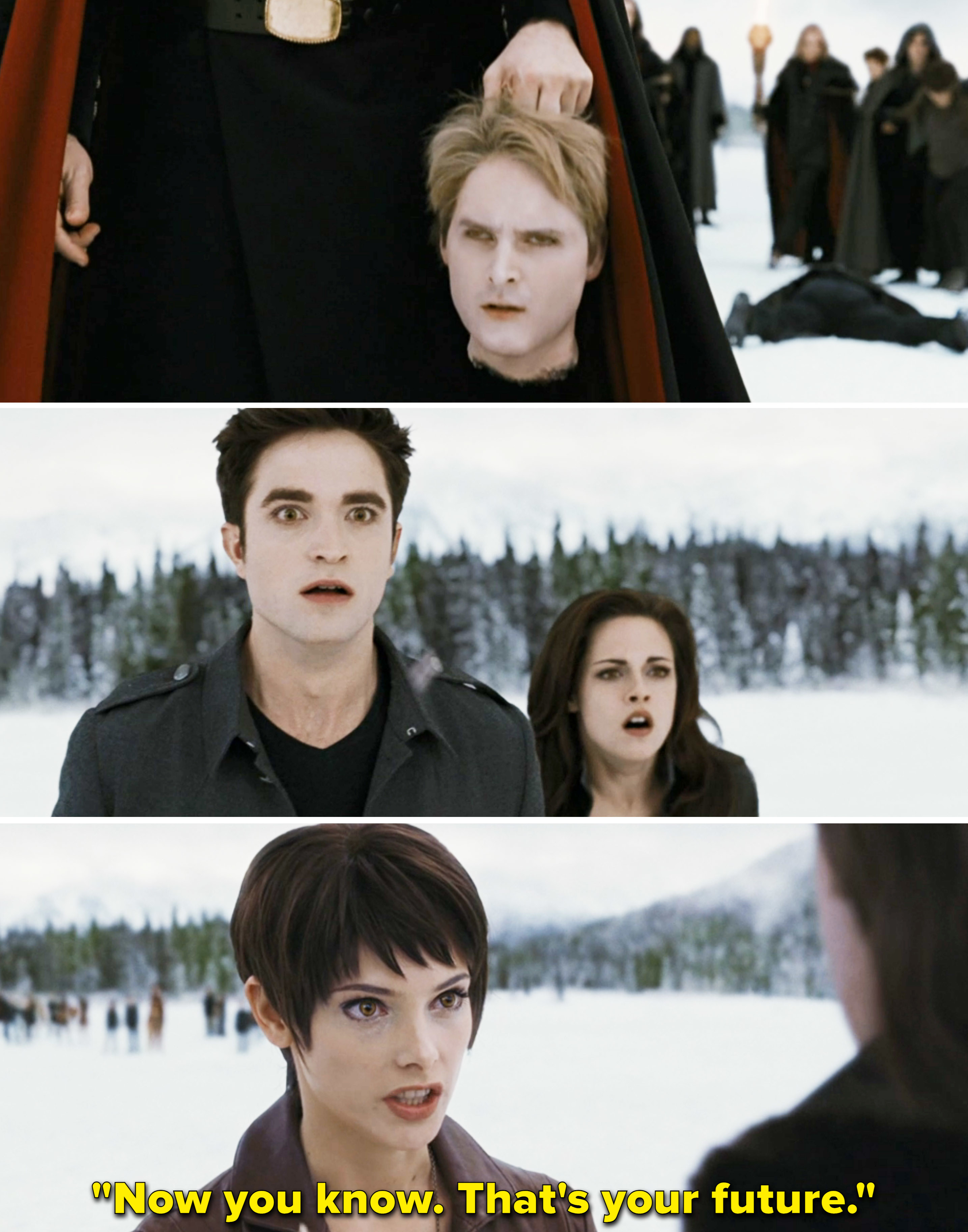 Edward and Bella looking stunned as they see Carlisle&#x27;s head