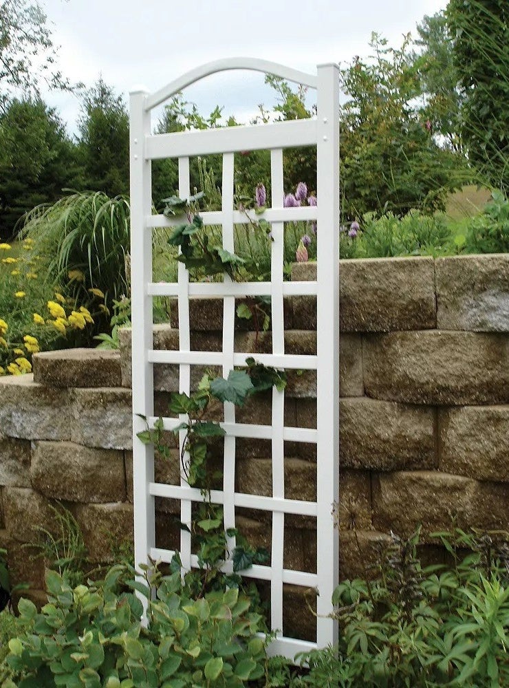 Image of the white trellis
