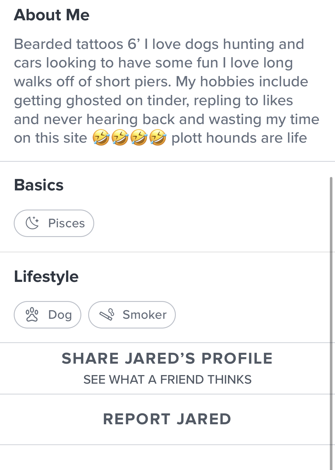 This about me section says &quot;my hobbies include getting ghosted on Tinder, replying to likes and never hearing back, and wasting my time on this site&quot;