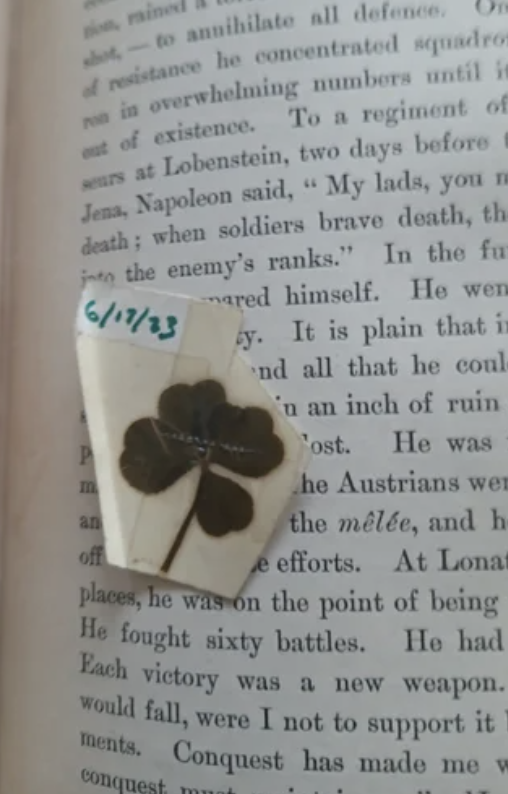 A four-leaf clover in a book