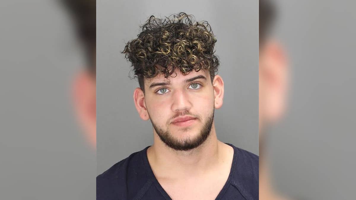 18-year-old Michigan man Christian Mansoor was arrested after he pulled over an off-duty police officer in a fake traffic stop while impersonating a cop.