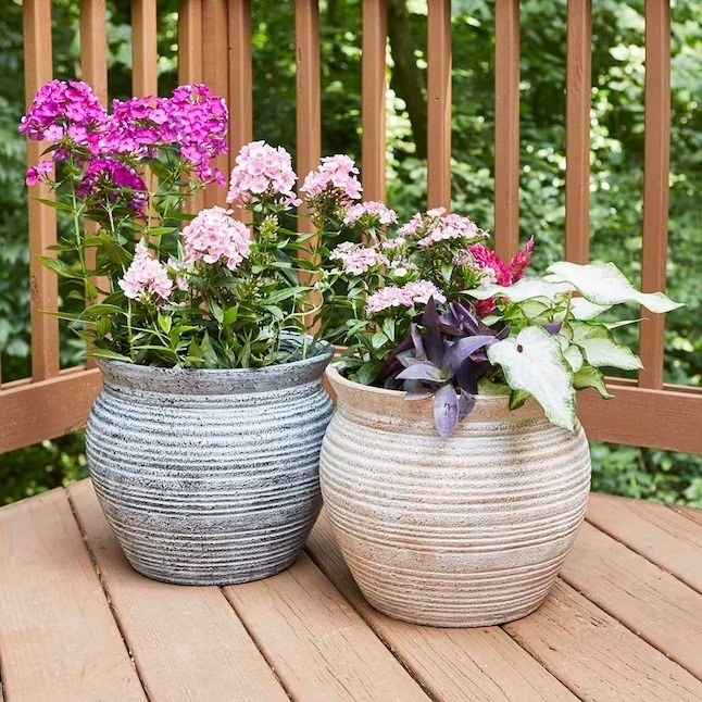 a white wash terracotta and whitewash black terracotta planter pots on a wooden patio